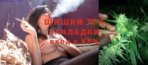 шишки Абинск