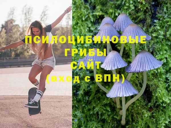 ГАЛЛЮЦИНОГЕННЫЕ ГРИБЫ Алзамай