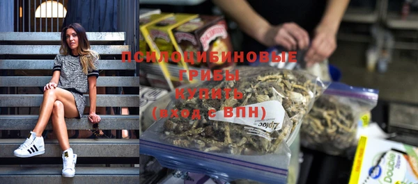 шишки Абинск